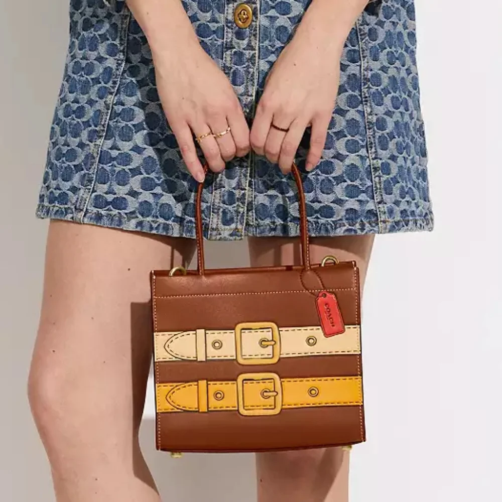 Cashin Carry Bag 22 With Trompe L'oeil Print, Saddle Multi 2022 Runway